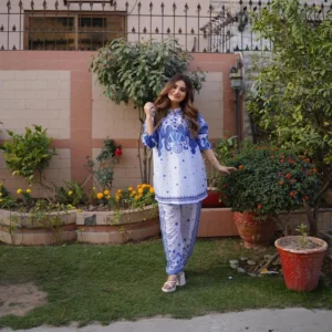2 Pcs Women's Stitched Swiss Lawn Printed Shirt And Trouser