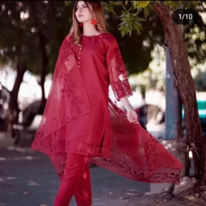 3 Pcs Women's Stitched Organza Embroidered Suit